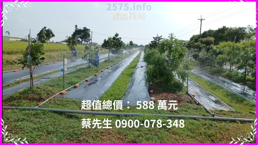 #自耕自住 #退休養生 #快樂農夫 #假日農場 #親子採果樂 #自然農法農地  #草生栽培農地
